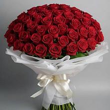 Букет 101 Красная роза Блэк Мэджик в Новопластуновской