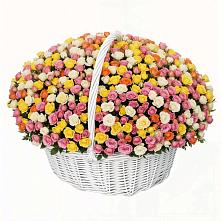 Премиум букет из: Розы в Новопластуновской