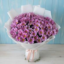 Букет цветов из:  Хризантемы в Новопластуновской
