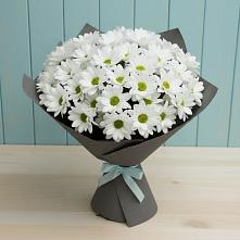 Букет цветов из:  Хризантемы #REPLACE_PRED# Новопластуновской