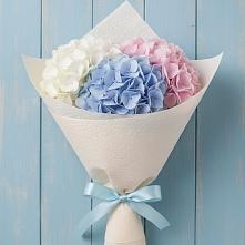 Букет цветов из:  Гортензия #REPLACE_PRED# Новопластуновской