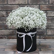 Цветочная композиция из Гипсофила в шляпной коробке в Новопластуновской
