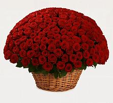 Премиум букет из: Розы в Новопластуновской